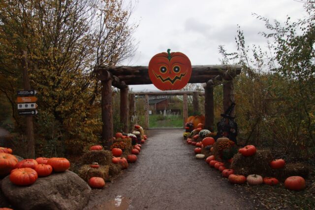 Ingresso di una fattoria decorato con zucche per Halloween